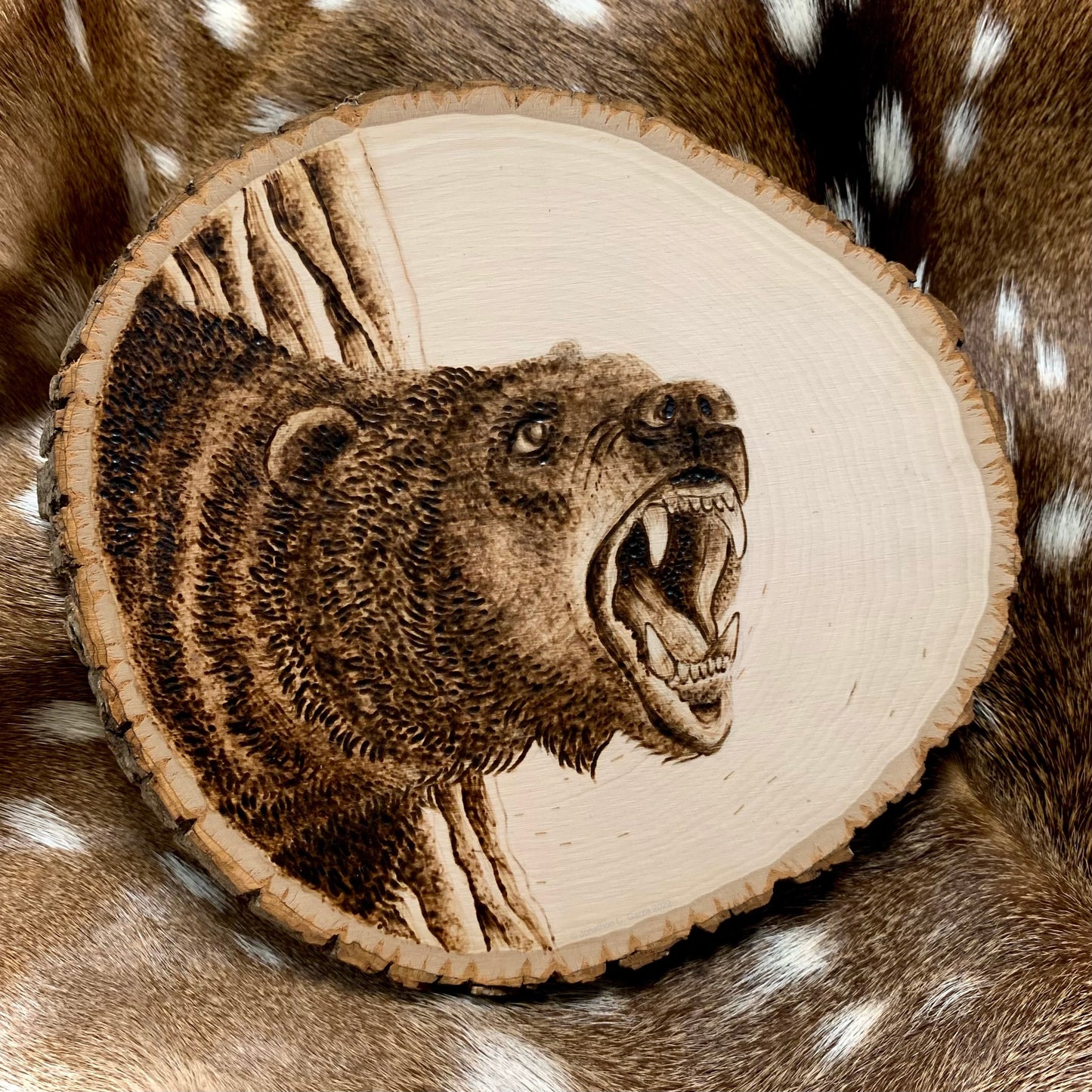 Hand-Burned Grizzly Bear on American Basswood Original Artwork by Jonathon C. Garza